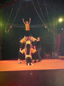bild1